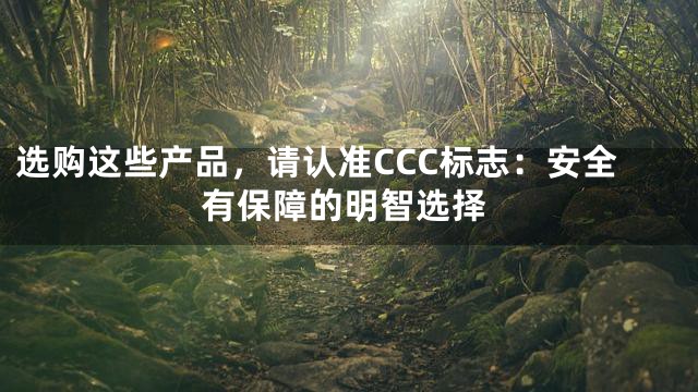 选购这些产品，请认准CCC标志：安全有保障的明智选择