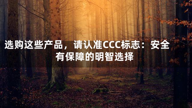 选购这些产品，请认准CCC标志：安全有保障的明智选择