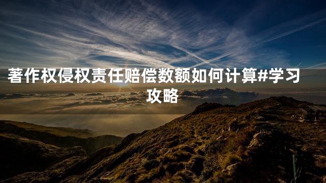 著作权侵权责任赔偿数额如何计算#学习攻略