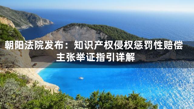 朝阳法院发布：知识产权侵权惩罚性赔偿主张举证指引详解