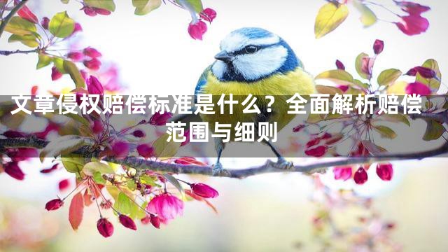 文章侵权赔偿标准是什么？全面解析赔偿范围与细则