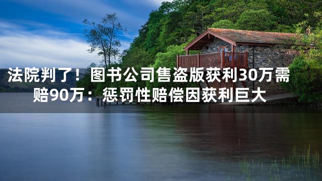 法院判了！图书公司售盗版获利30万需赔90万：惩罚性赔偿因获利巨大
