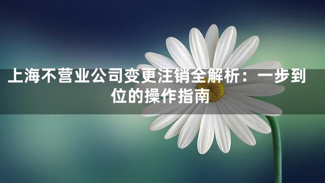 上海不营业公司变更注销全解析：一步到位的操作指南