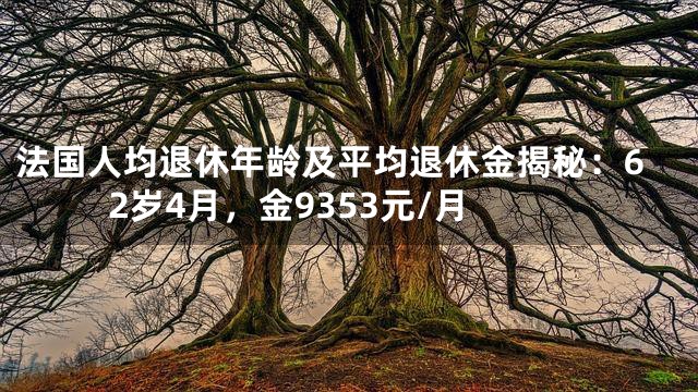 法国人均退休年龄及平均退休金揭秘：62岁4月，金9353元/月