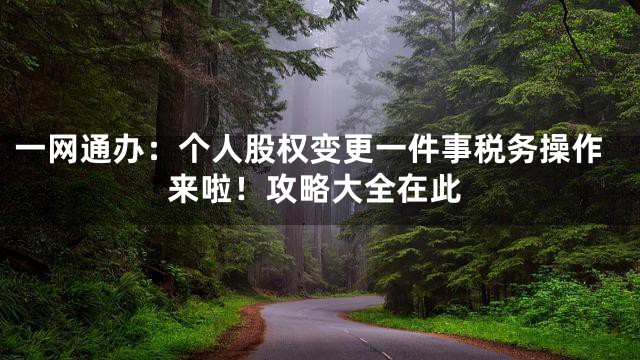 一网通办：个人股权变更一件事税务操作来啦！攻略大全在此