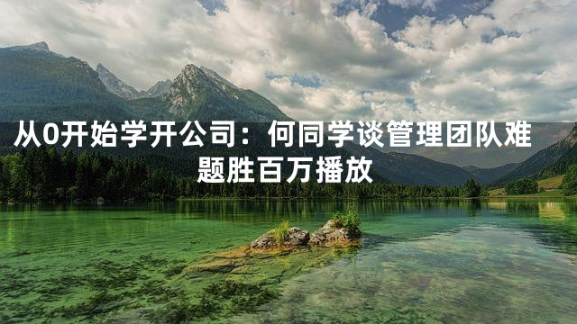 从0开始学开公司：何同学谈管理团队难题胜百万播放