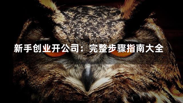 新手创业开公司：完整步骤指南大全