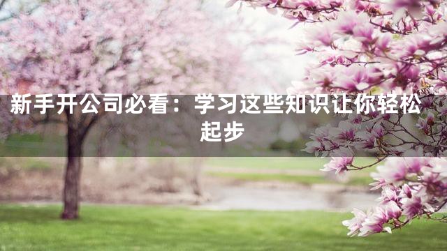 新手开公司必看：学习这些知识让你轻松起步