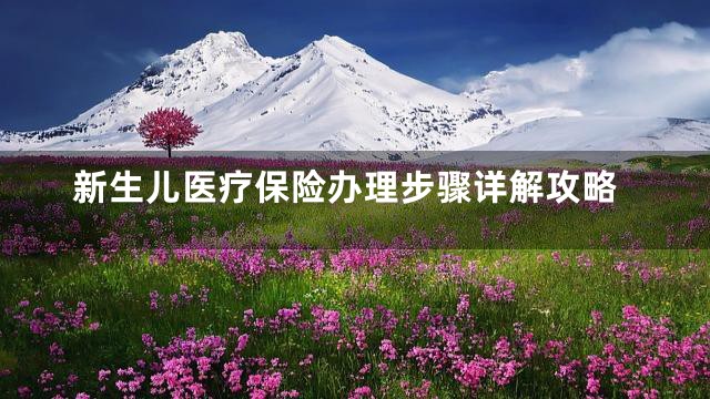 新生儿医疗保险办理步骤详解攻略