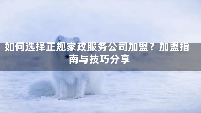 如何选择正规家政服务公司加盟？加盟指南与技巧分享