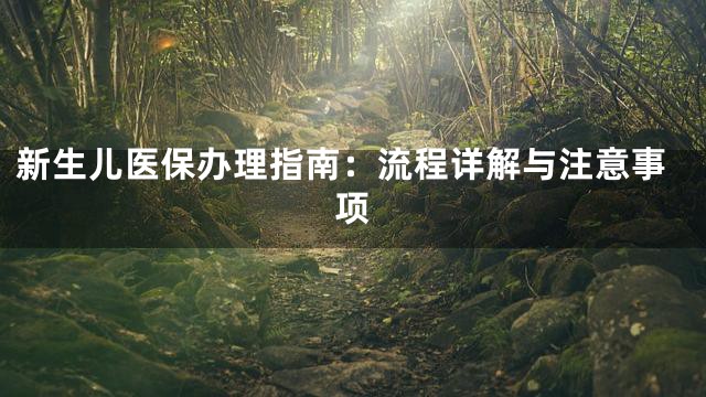 新生儿医保办理指南：流程详解与注意事项