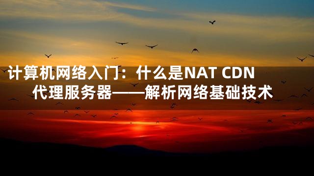计算机网络入门：什么是NAT CDN代理服务器——解析网络基础技术
