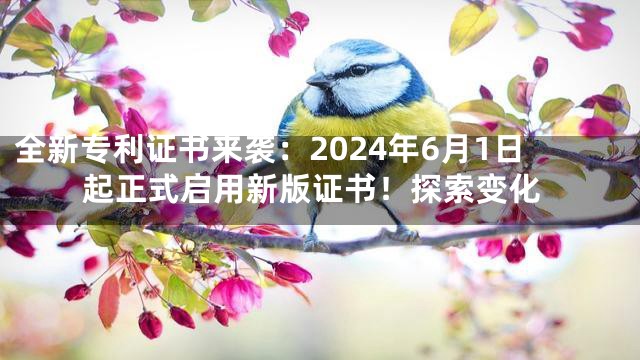 全新专利证书来袭：2024年6月1日起正式启用新版证书！探索变化
