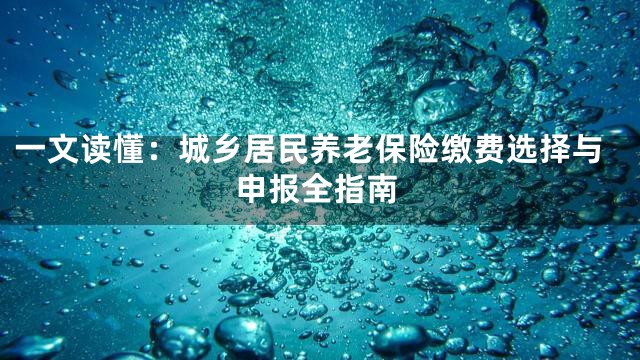 一文读懂：城乡居民养老保险缴费选择与申报全指南