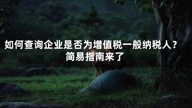 如何查询企业是否为增值税一般纳税人？简易指南来了