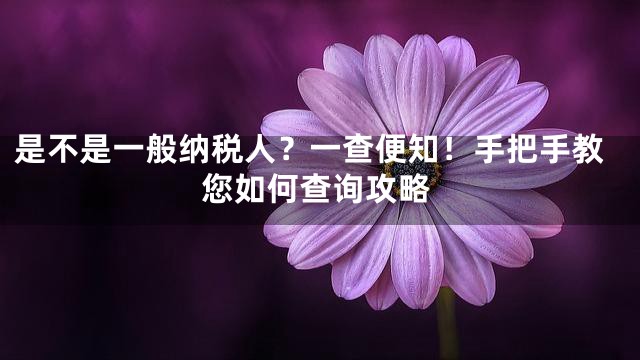 是不是一般纳税人？一查便知！手把手教您如何查询攻略