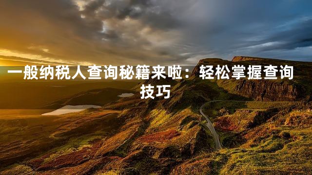一般纳税人查询秘籍来啦：轻松掌握查询技巧