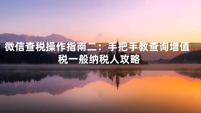 微信查税操作指南二：手把手教查询增值税一般纳税人攻略