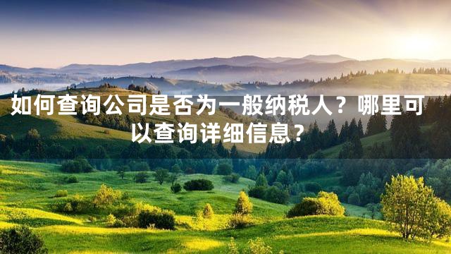如何查询公司是否为一般纳税人？哪里可以查询详细信息？