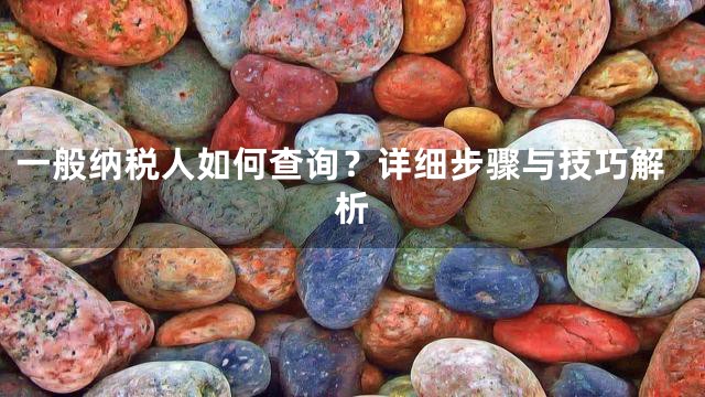 一般纳税人如何查询？详细步骤与技巧解析