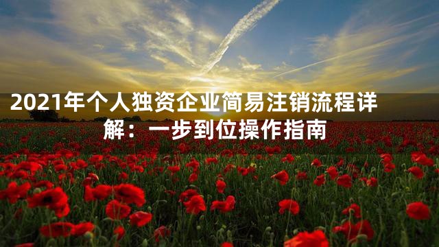 2021年个人独资企业简易注销流程详解：一步到位操作指南