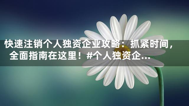 快速注销个人独资企业攻略：抓紧时间，全面指南在这里！#个人独资企...