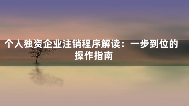 个人独资企业注销程序解读：一步到位的操作指南