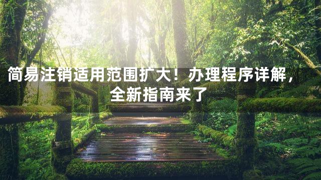 简易注销适用范围扩大！办理程序详解，全新指南来了