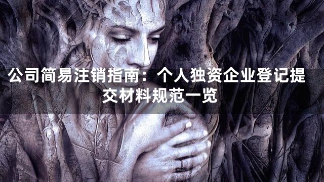 公司简易注销指南：个人独资企业登记提交材料规范一览