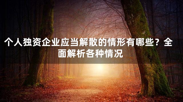 个人独资企业应当解散的情形有哪些？全面解析各种情况