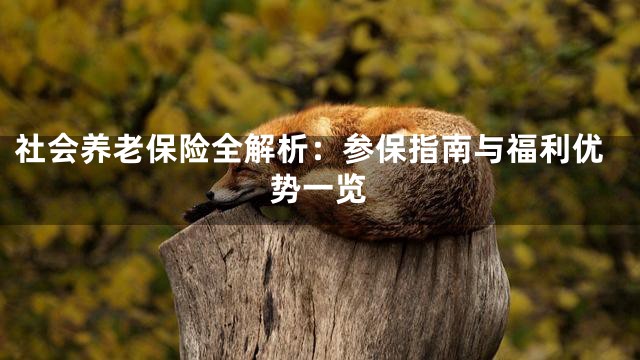 社会养老保险全解析：参保指南与福利优势一览