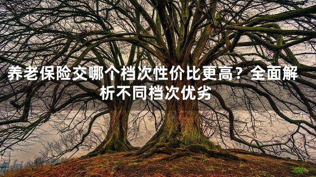 养老保险交哪个档次性价比更高？全面解析不同档次优劣