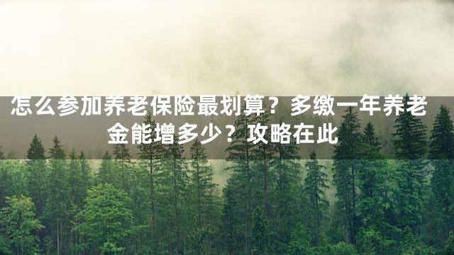 怎么参加养老保险最划算？多缴一年养老金能增多少？攻略在此