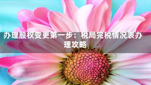 办理股权变更第一步：税局完税情况表办理攻略