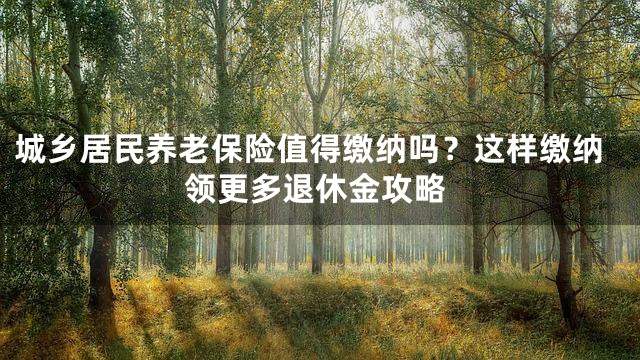 城乡居民养老保险值得缴纳吗？这样缴纳领更多退休金攻略