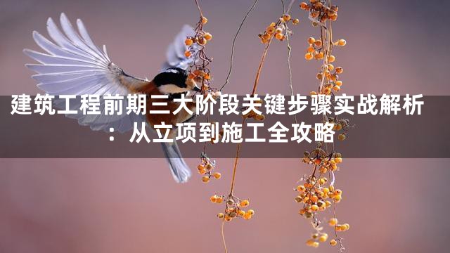 建筑工程前期三大阶段关键步骤实战解析：从立项到施工全攻略
