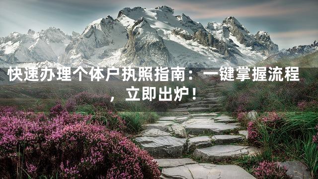 快速办理个体户执照指南：一键掌握流程，立即出炉！