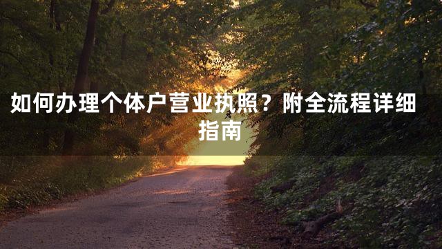 如何办理个体户营业执照？附全流程详细指南