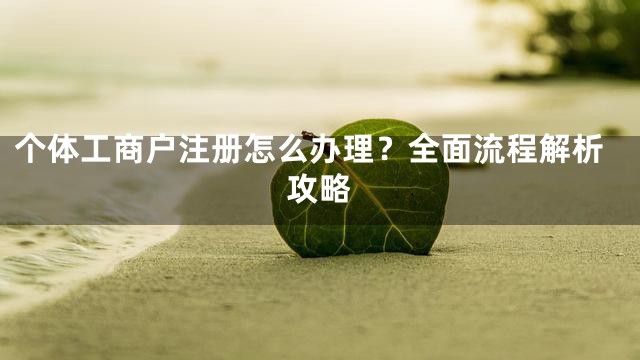 个体工商户注册怎么办理？全面流程解析攻略