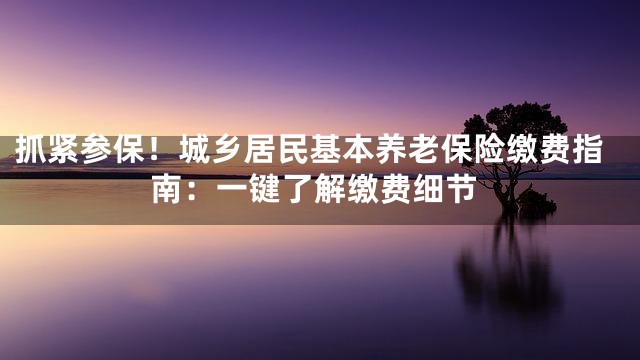 抓紧参保！城乡居民基本养老保险缴费指南：一键了解缴费细节