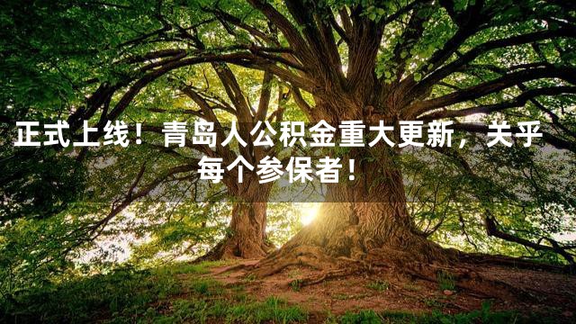 正式上线！青岛人公积金重大更新，关乎每个参保者！