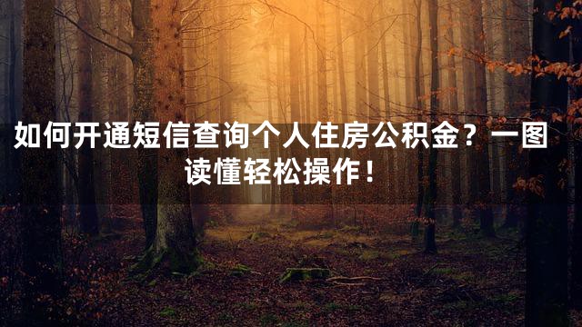 如何开通短信查询个人住房公积金？一图读懂轻松操作！