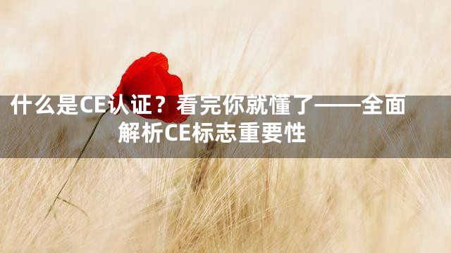 什么是CE认证？看完你就懂了——全面解析CE标志重要性