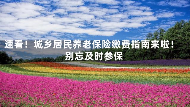 速看！城乡居民养老保险缴费指南来啦！别忘及时参保