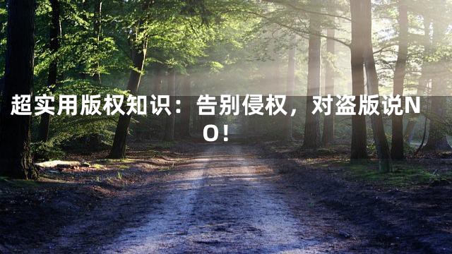 超实用版权知识：告别侵权，对盗版说NO！