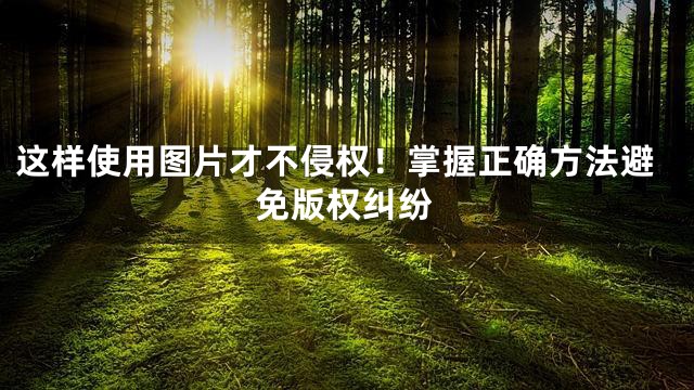 这样使用图片才不侵权！掌握正确方法避免版权纠纷