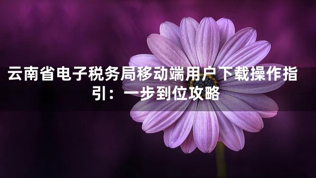 云南省电子税务局移动端用户下载操作指引：一步到位攻略