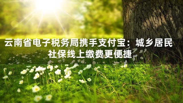 云南省电子税务局携手支付宝：城乡居民社保线上缴费更便捷