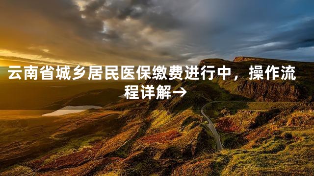 云南省城乡居民医保缴费进行中，操作流程详解→