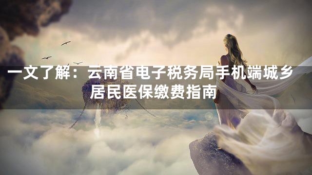 一文了解：云南省电子税务局手机端城乡居民医保缴费指南